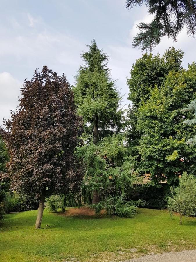 Bed and Breakfast il nido della dani Busto Arsizio Esterno foto
