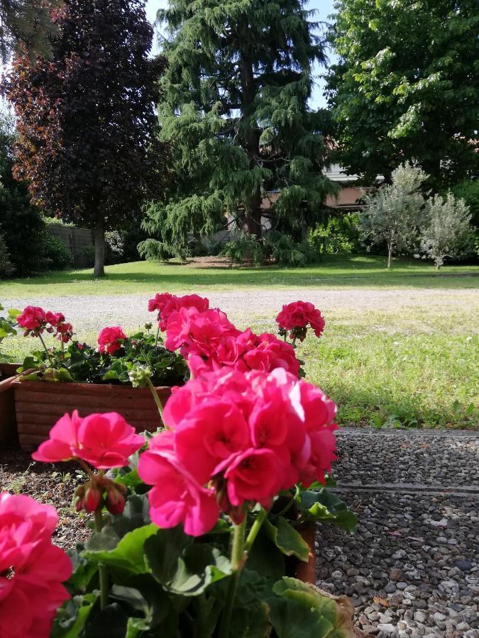 Bed and Breakfast il nido della dani Busto Arsizio Esterno foto