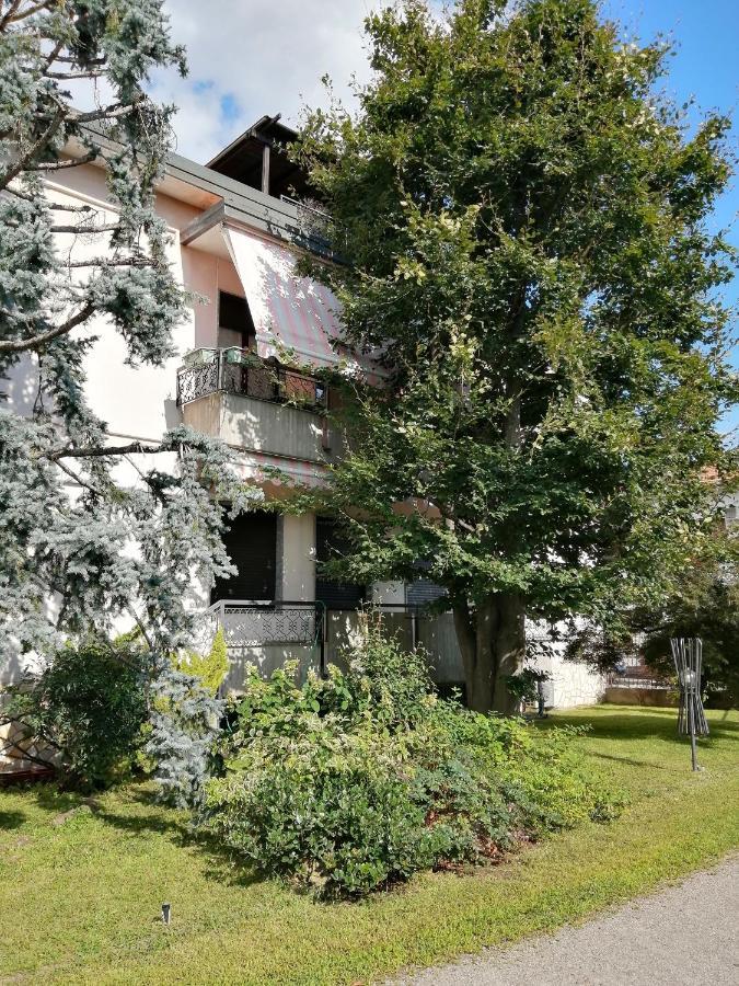 Bed and Breakfast il nido della dani Busto Arsizio Esterno foto